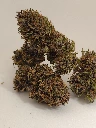 orange cookies 1.webp