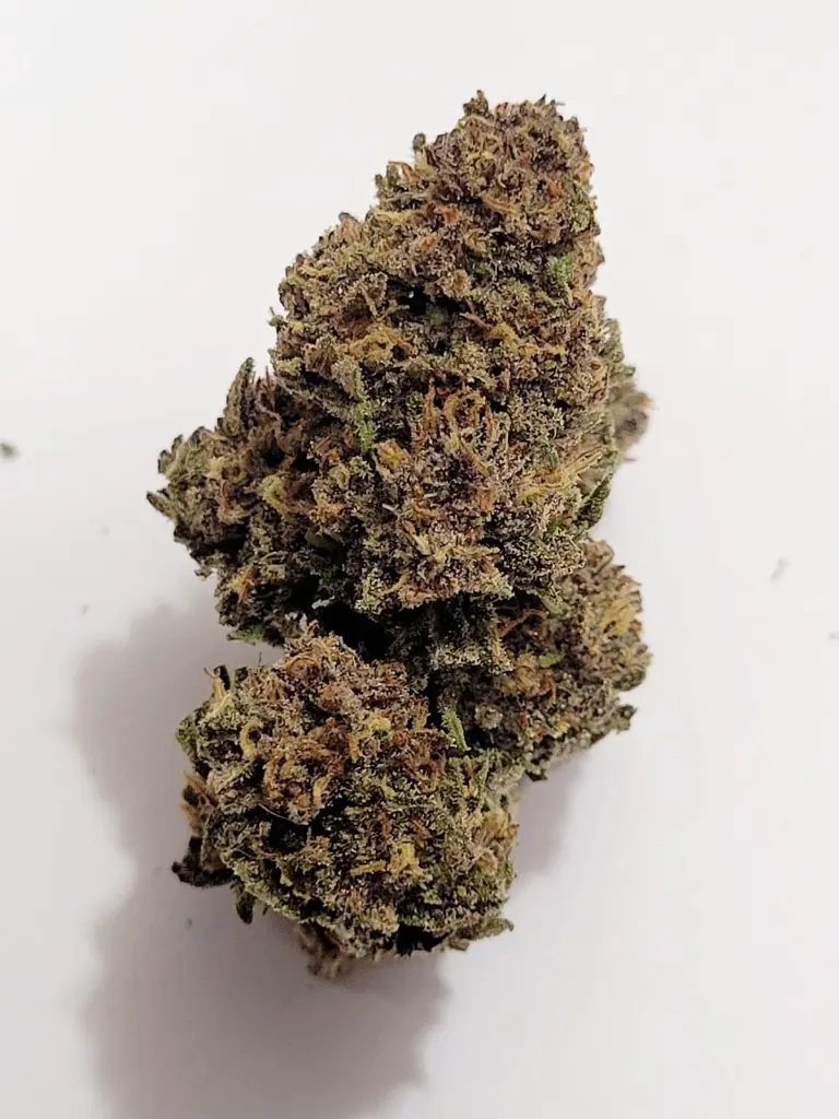 Blueberry Kush.webp