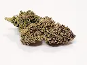 OG Diesel.webp