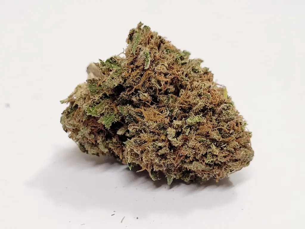 Legendary Skunk.webp