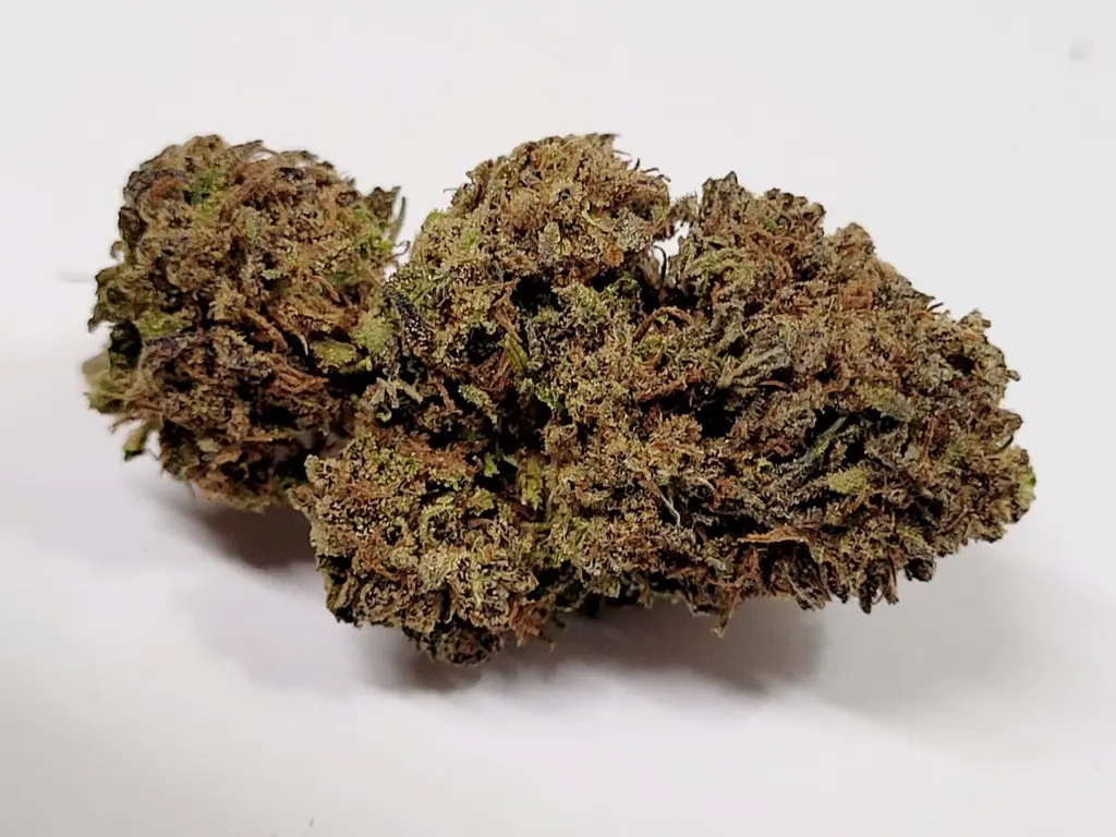Cherry Gelato.webp