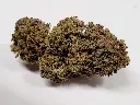 Cherry Gelato.webp