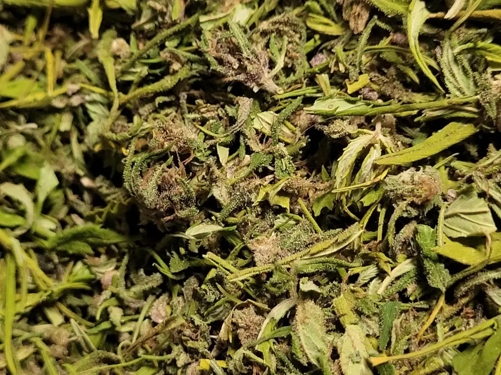 Trim substitut au tabac