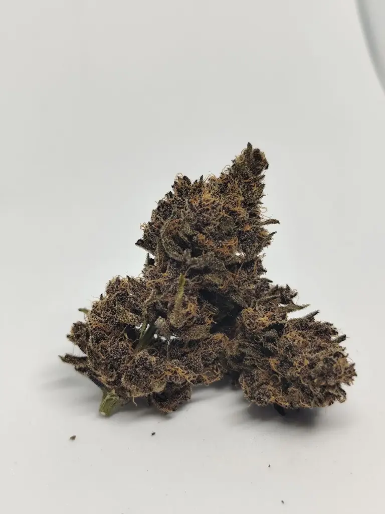Indoor Orange Flow