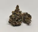 Indoor Rainbow Sherbet