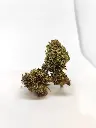 Outdoor Orange Fritter
