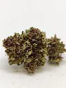 Outdoor Rainbow Sherb