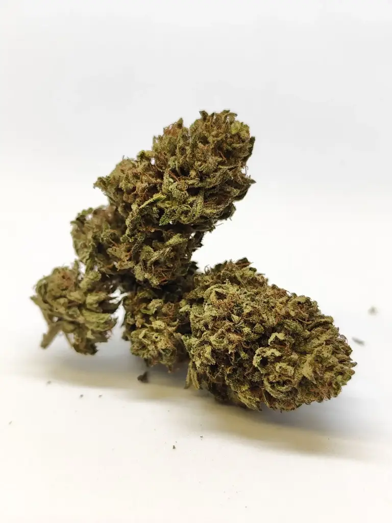 Outdoor STRAW Pop (1g)