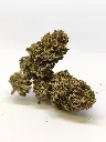 Outdoor STRAW Pop