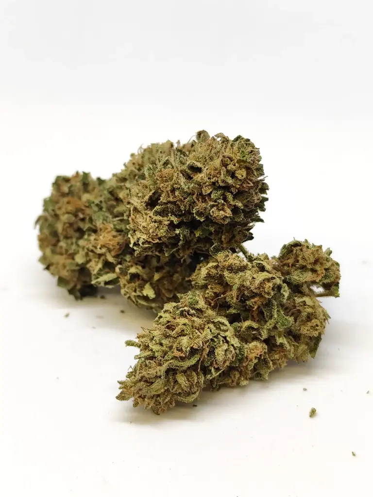 Outdoor Shao x OZK (1g)