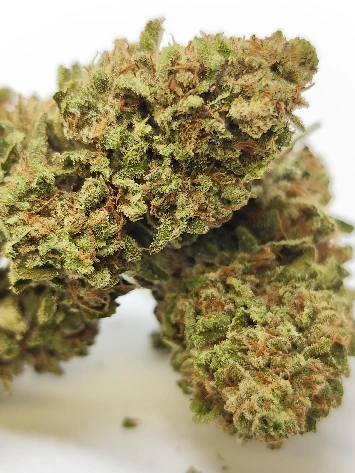 Outdoor Tropical Fruit (1g)