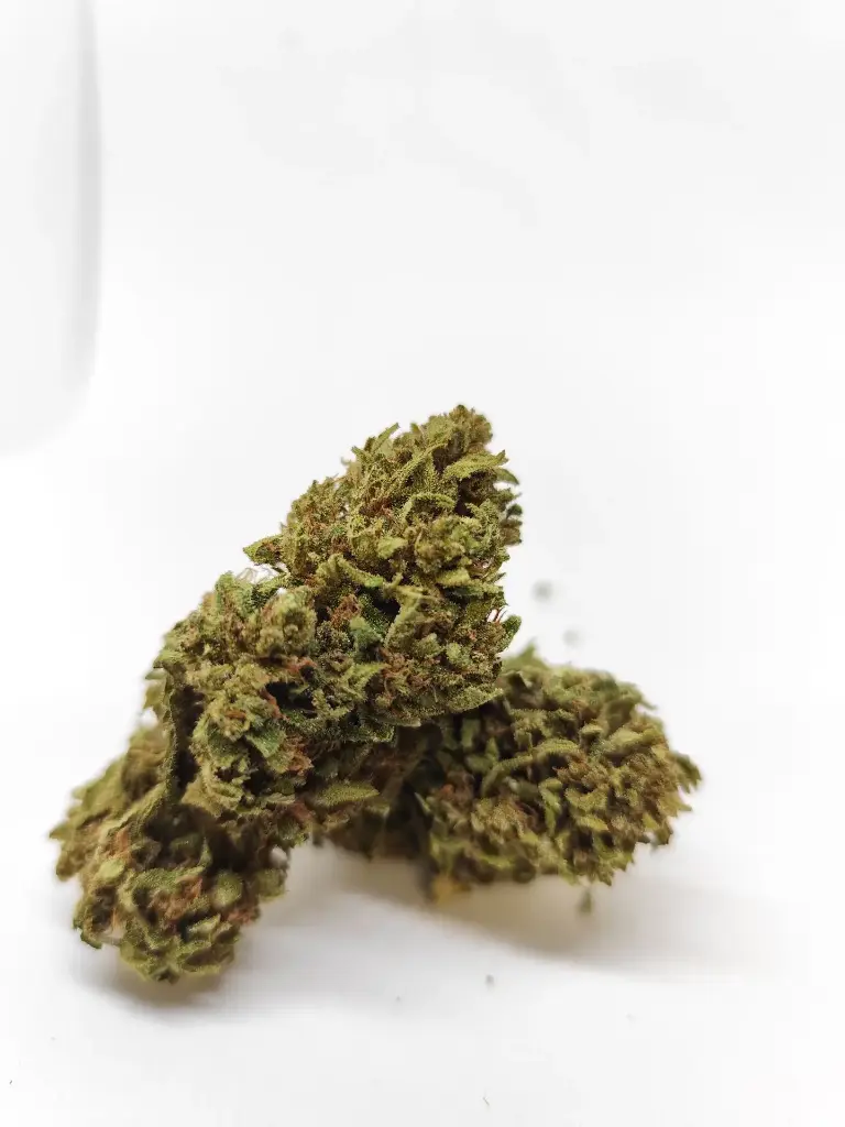 Outdoor Peach Cream Récolte 2025 (1g)