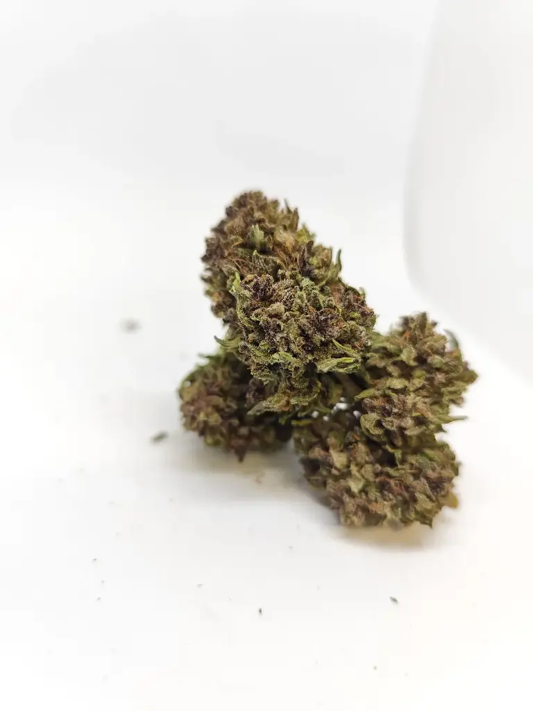 Outdoor Blood Lime Récolte 2025  (1g)