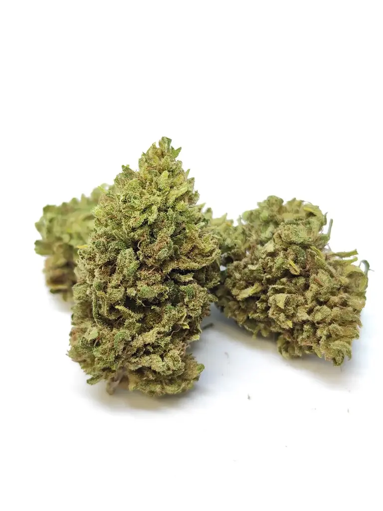 Outdoor Candy Queen Récolte 2025