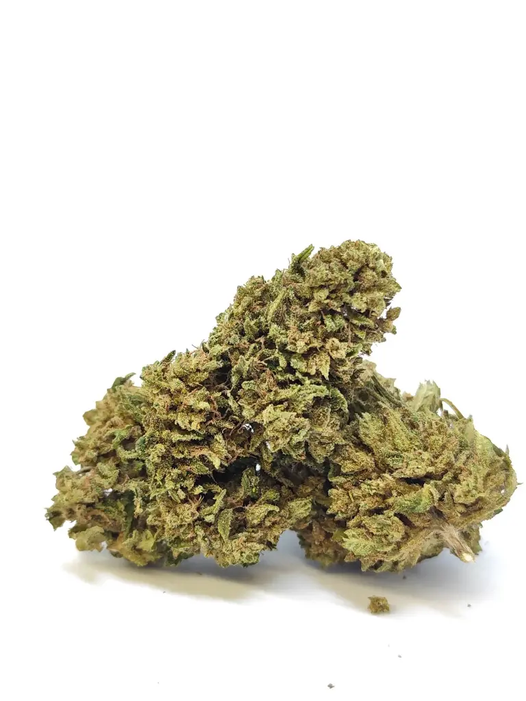 Outdoor Mazzal (1g)