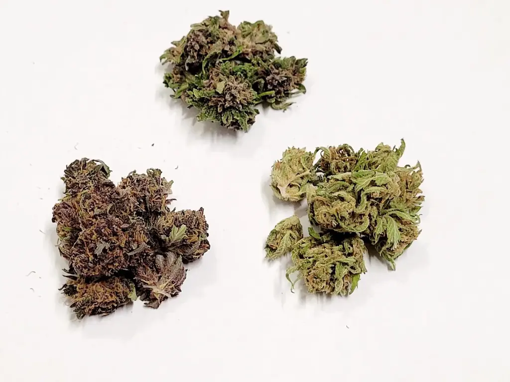 Small Buds