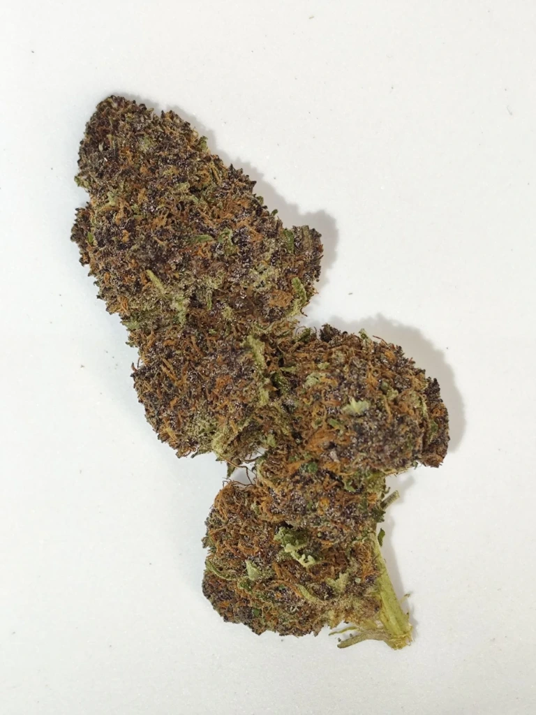 Outdoor Sweet Tarts
