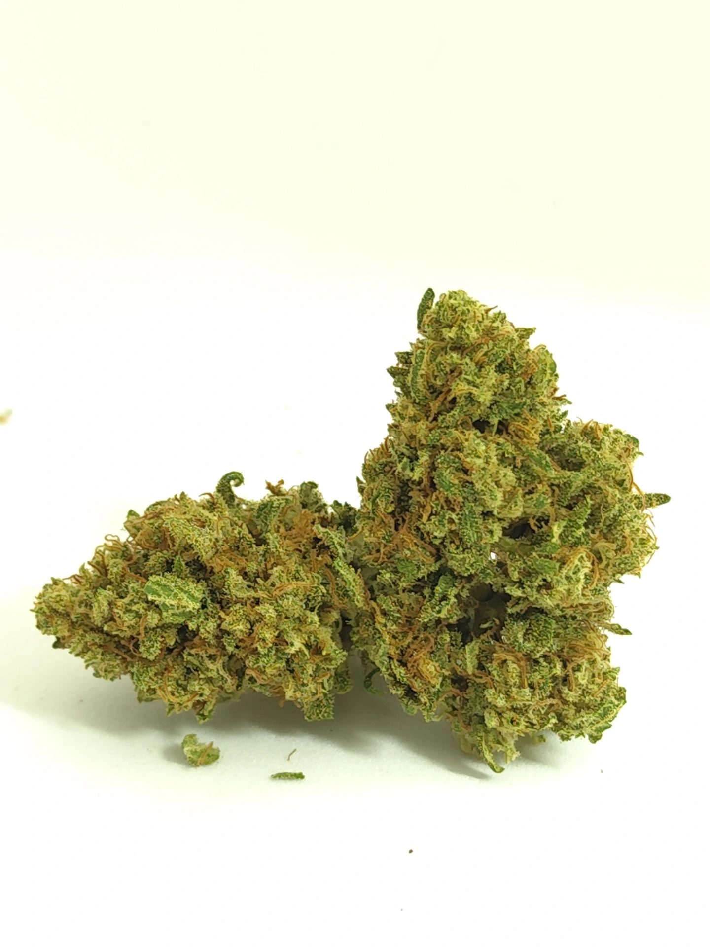 Outdoor Bubble Gum