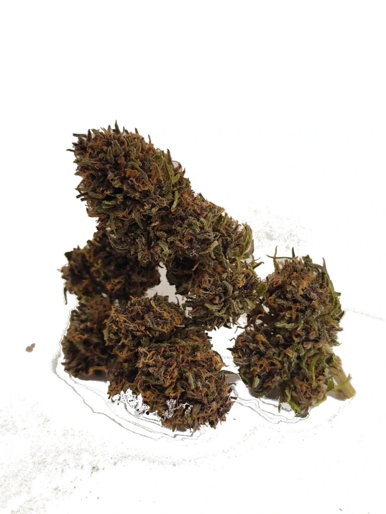 Outdoor Orange Cookies