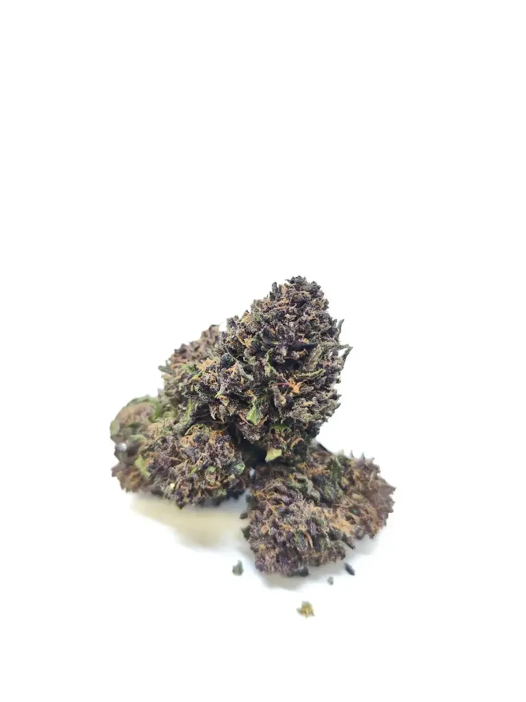 Outdoor Platinum Gazzy Dream Récolte 2025