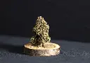 Blueberry Kush