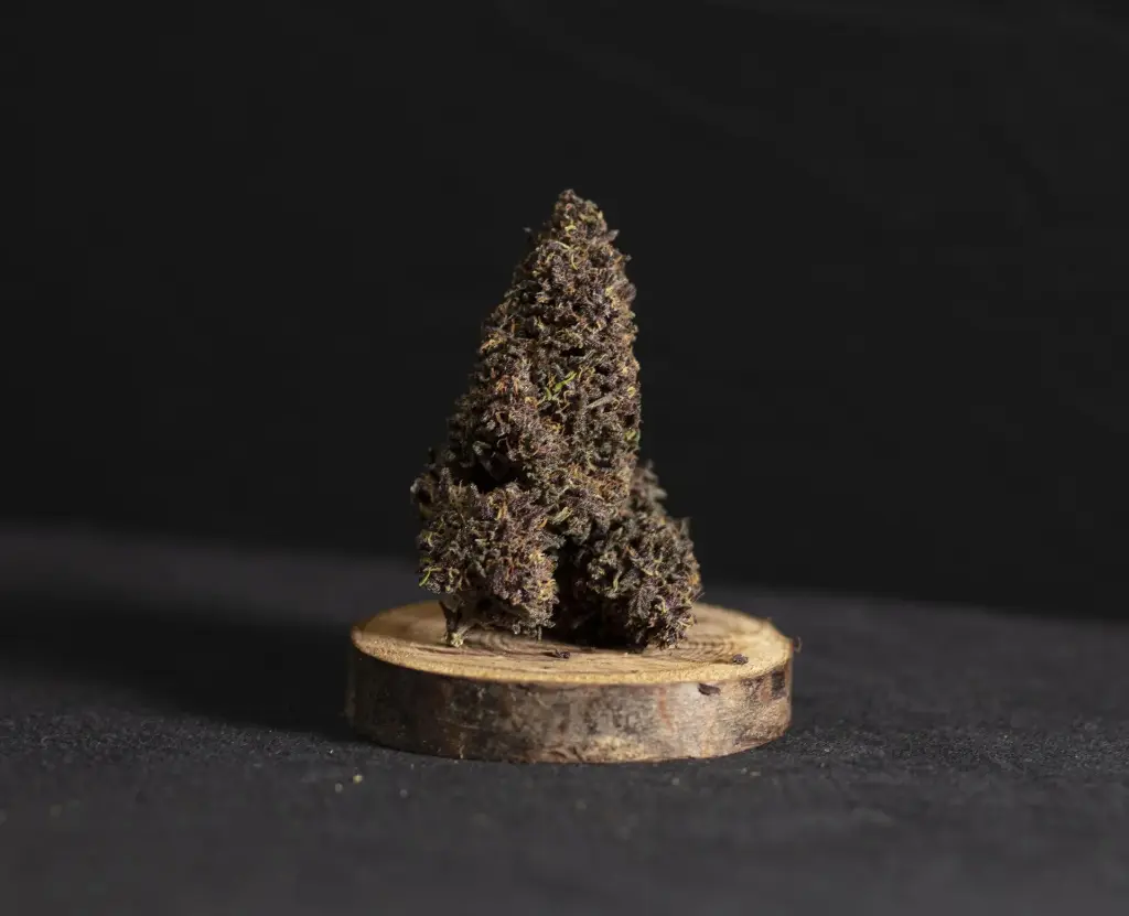 Outdoor OG Diesel Récolte 2025 (1g)