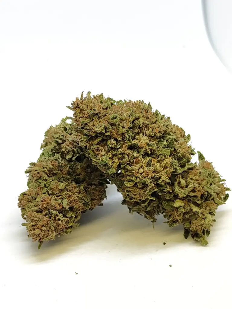 Outdoor Legendary Skunk