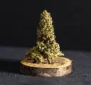 Gotta Sherb