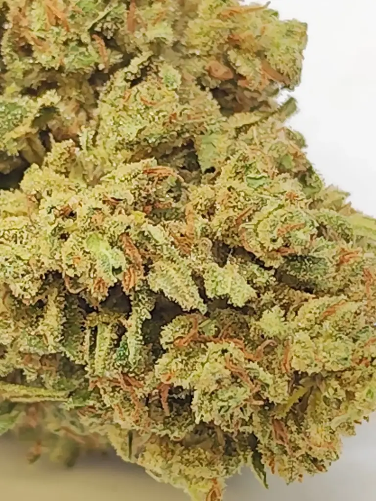 Outdoor Amnesia Candy  (1g)