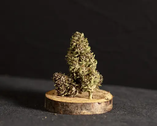 Pinkanas