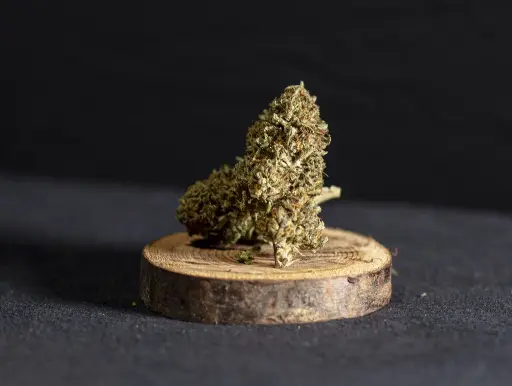 Legendary Skunk