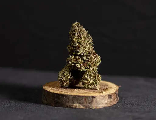 Cherry Gelato