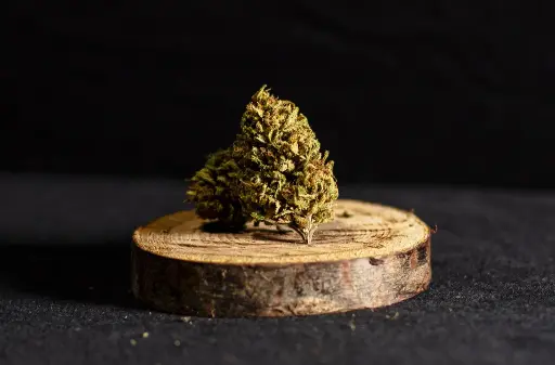 Amnesia Candy