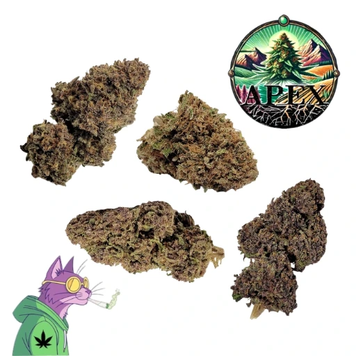 Pack Découverte 5 Variétés Outdoor x 2g 