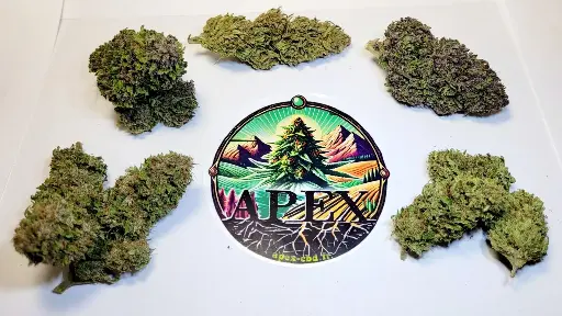 Pack Découverte 5 Variétés x 4g 
