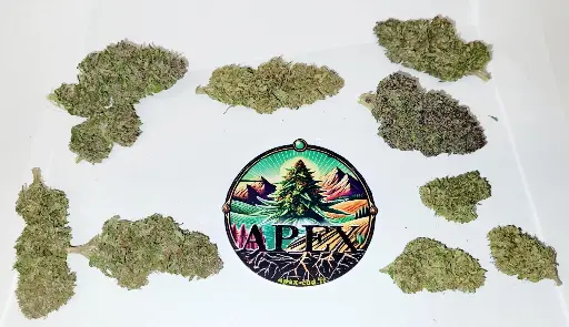 Pack Découverte 10 Variétés x 2g