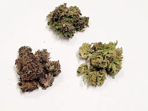 Small Buds