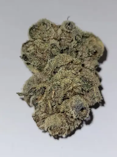 Indoor G2 Kush