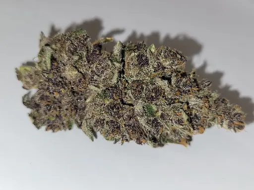 Indoor Orange Flow