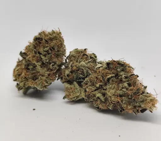 Indoor Candy Queen  