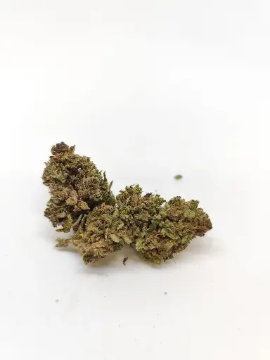 Outdoor Rainbow Sherb Récolte 2025