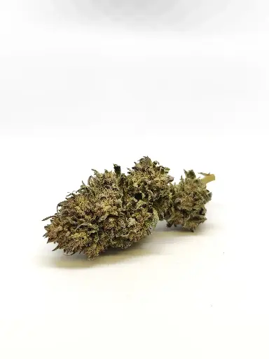 Outdoor Demi-Glaze Récolte 2025